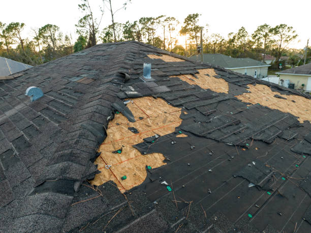 Best Roof Leak Repair  in Louisville, TN