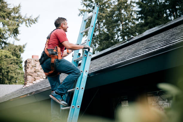 Best Metal Roofing Installation  in Louisville, TN