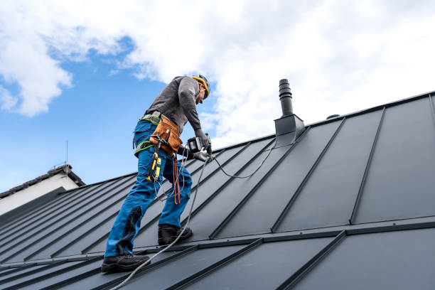 Best Chimney Flashing Repair  in Louisville, TN